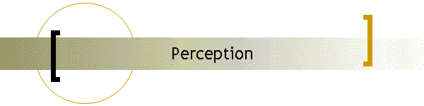 Perception